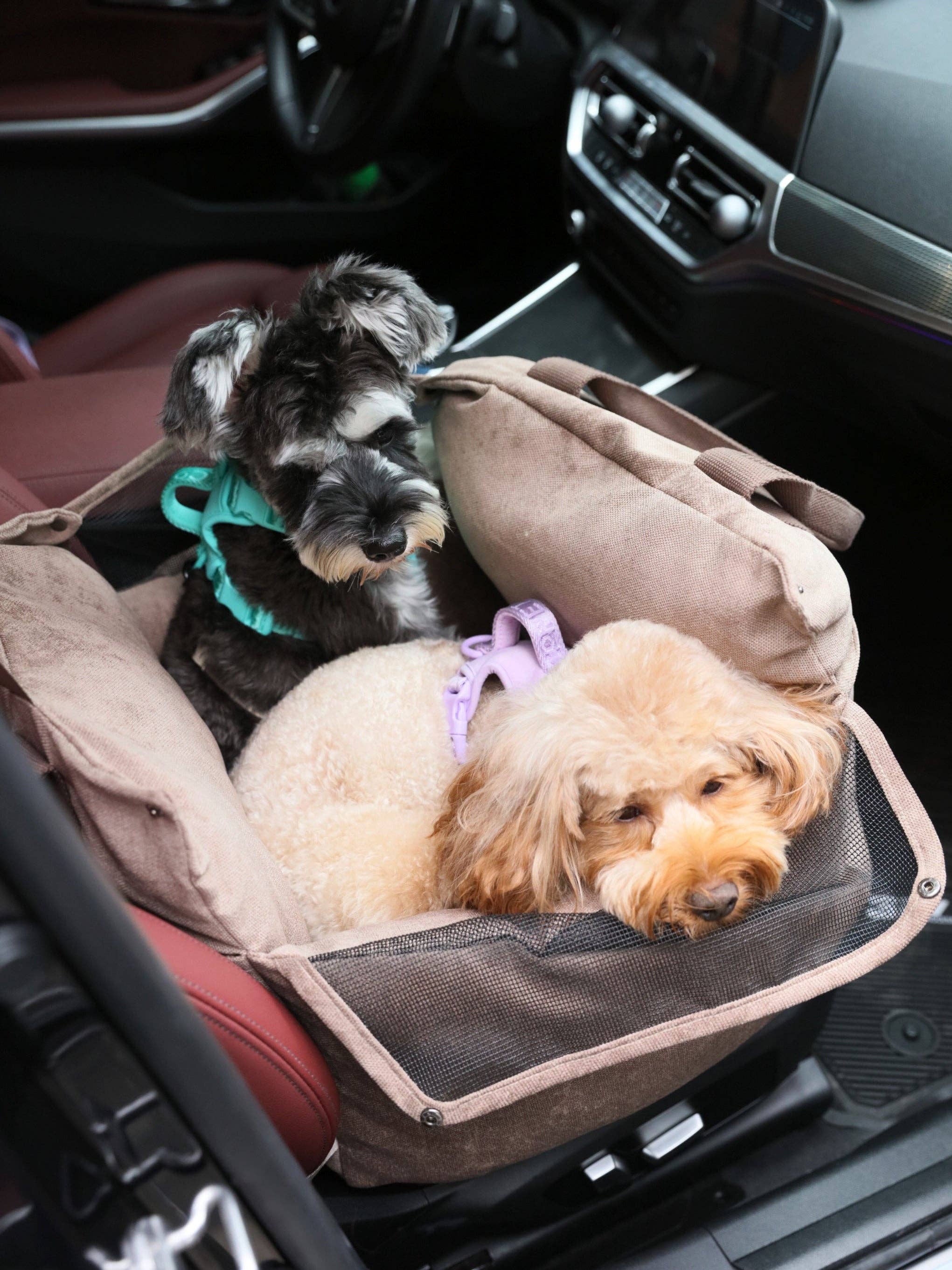 PEHOM - Wholesale Pet Carrier - Dog - Puff Guard Dog Car Seat - Camel8
