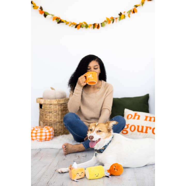 Pearhead - Wholesale Pet Plush Toy - Dog - Thanksgiving Dinner Fall Dog Toys, Set of 3