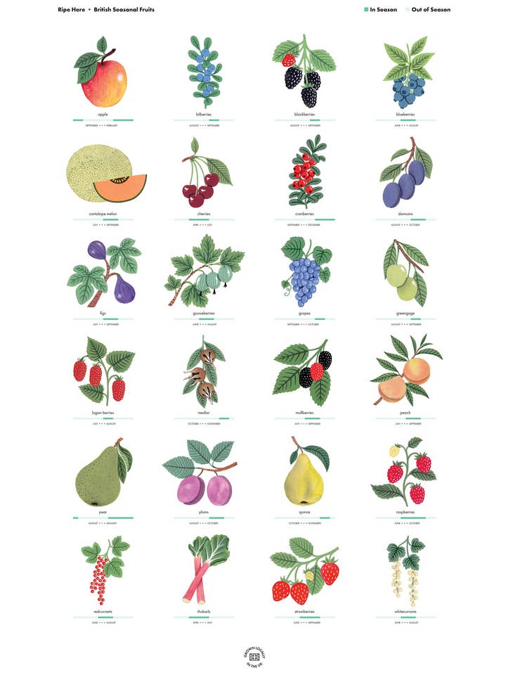 Seasonal Fruit Print (A2) for wholesale by Holly Maguire