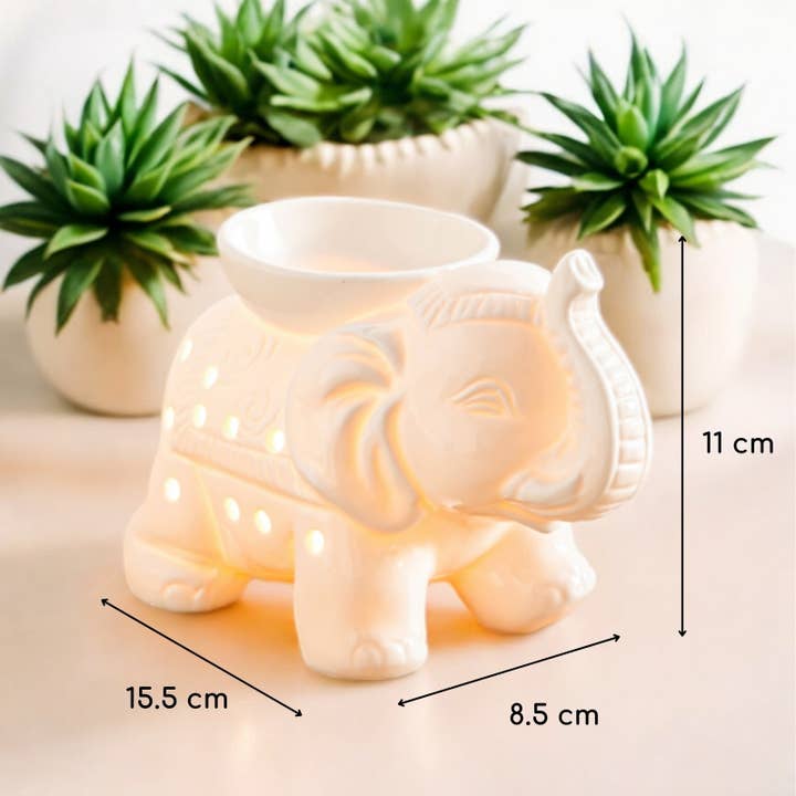 Zen'Arome - Wholesale Oil Warmer - Ceramy series perfume burner - Tandor blanc