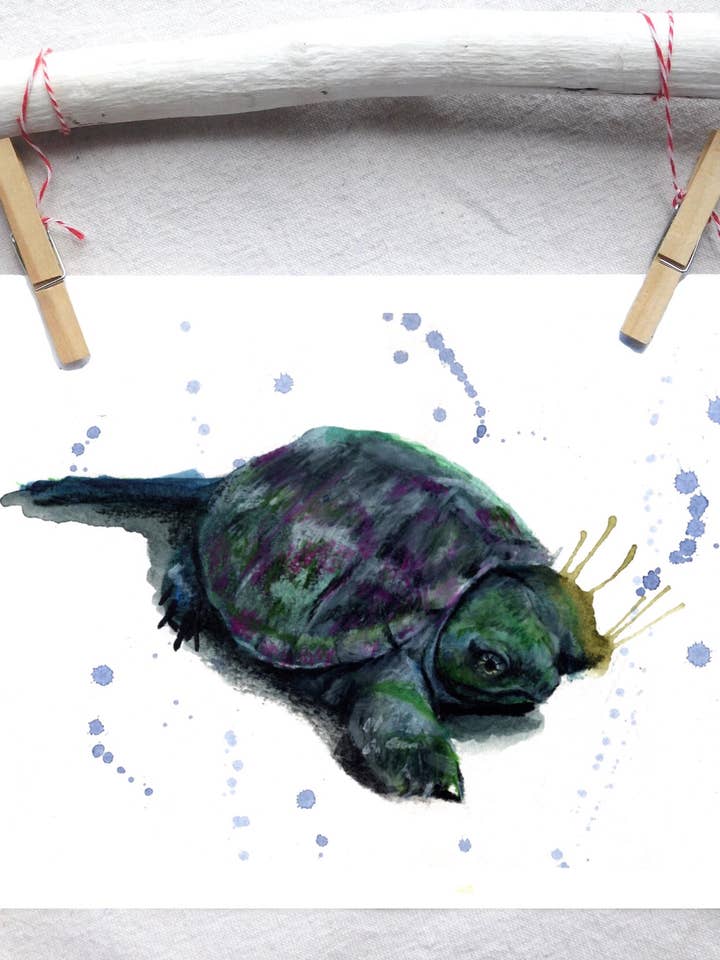 Snapping turtle baby art print for wholesale by Lindsey Munson