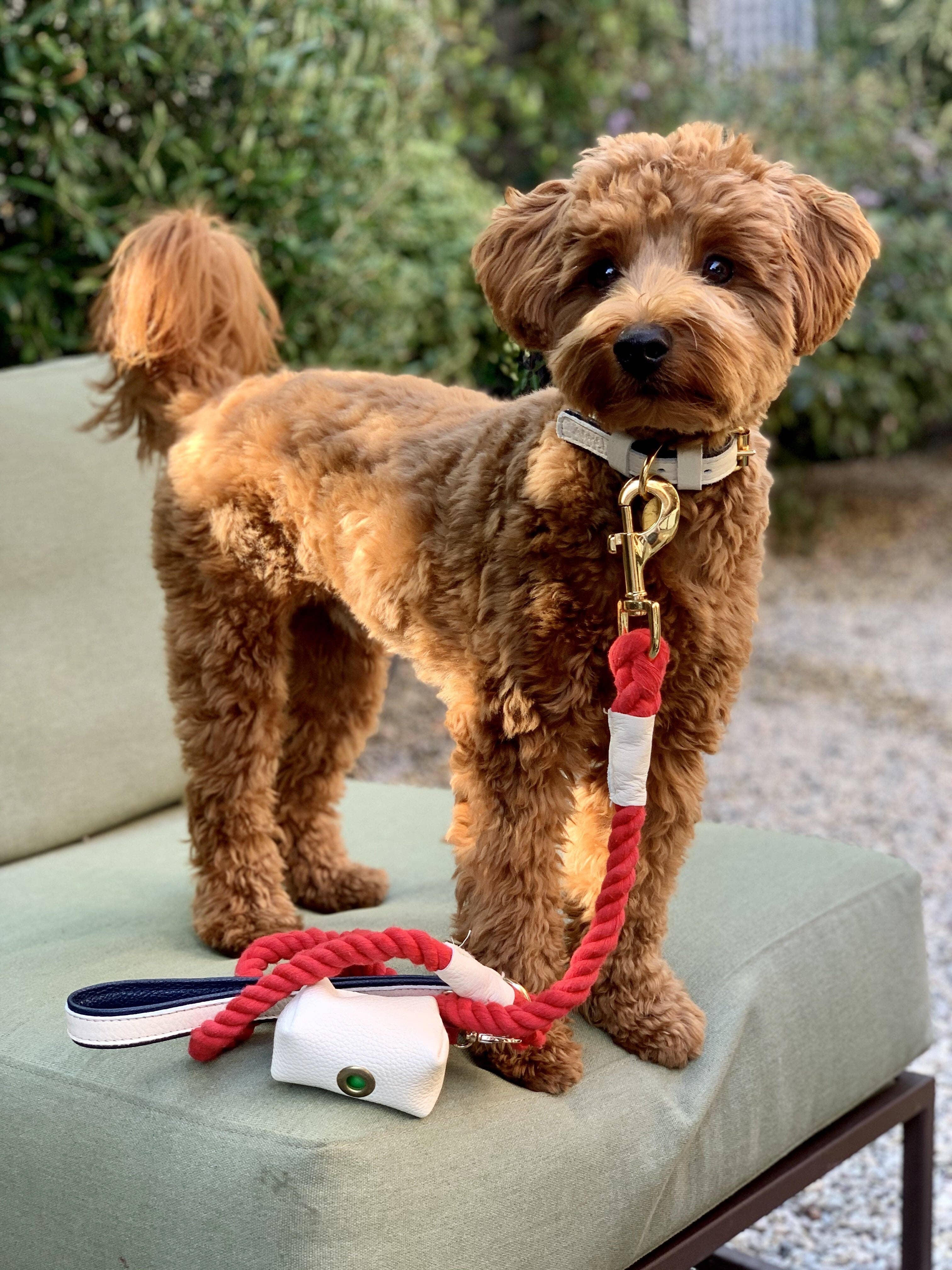 PoisePup – wholesale Halsband - Hund – KRAGE - VARM MARIN8