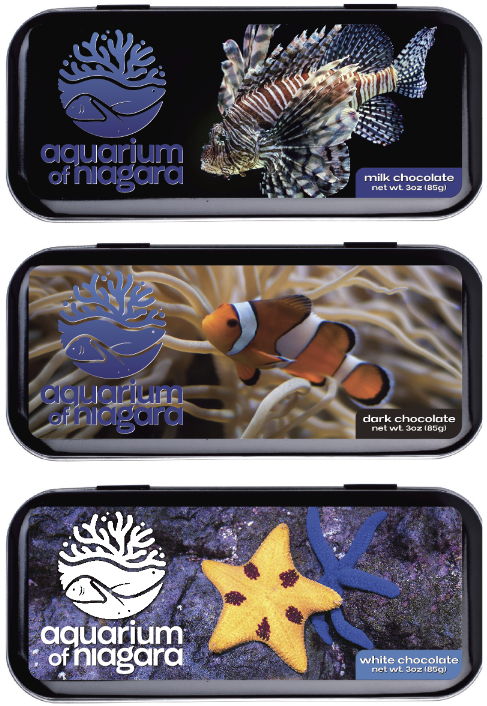 The San Francisco Chocolate Factory - Wholesale Chocolate Box - Custom-labeled 3oz Chocolate-filled Tin (144+ Tins @ $6.50)3