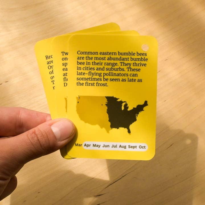 weneedtogooutside - Wholesale Nature & Outdoors Book - Bumble Bees of Eastern USA Field Guide Cards2