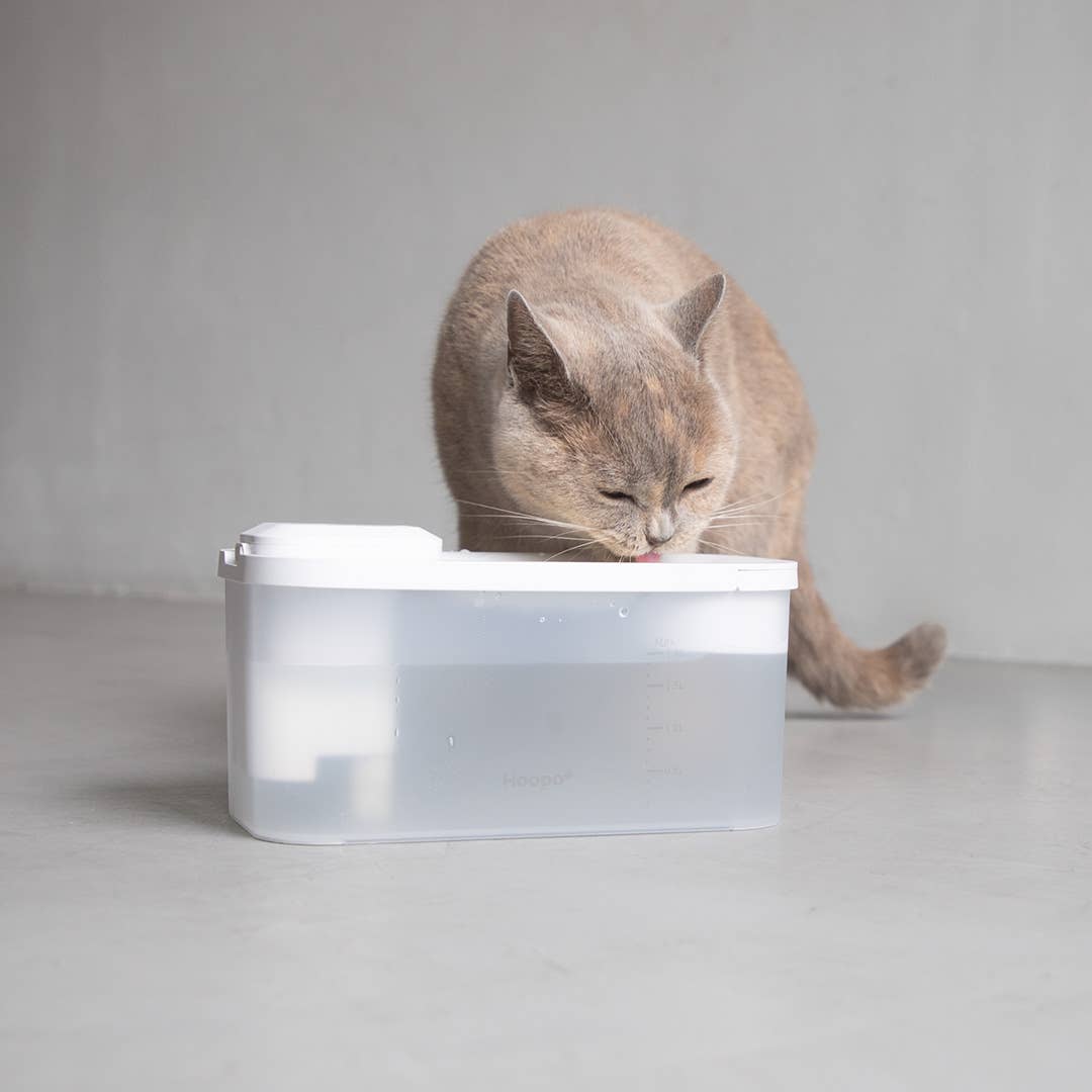 Hoopo – wholesale Pet bowl – Cat/dog – Hydr Waterfountain6