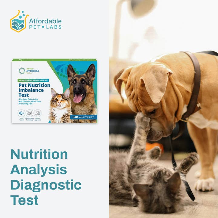 Affordable Pet Labs - Wholesale Pet Food - Dog - Easy Home Kit: Affordable Pet Labs Pet Nutrition Analysis Diagnostic Test
