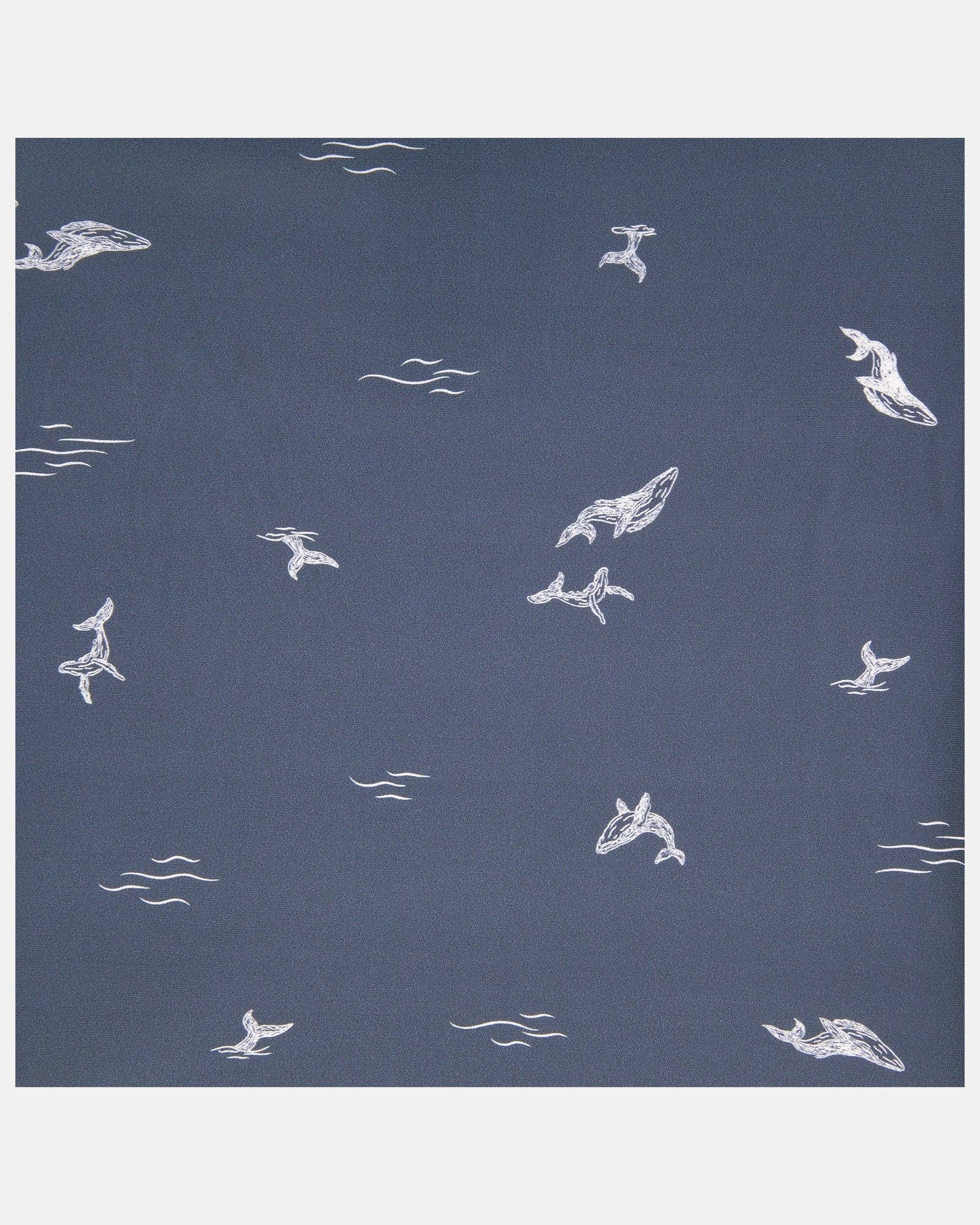 Toshi - Vente Couches de natation – bébé - Couche pour bébé Swim Classic22