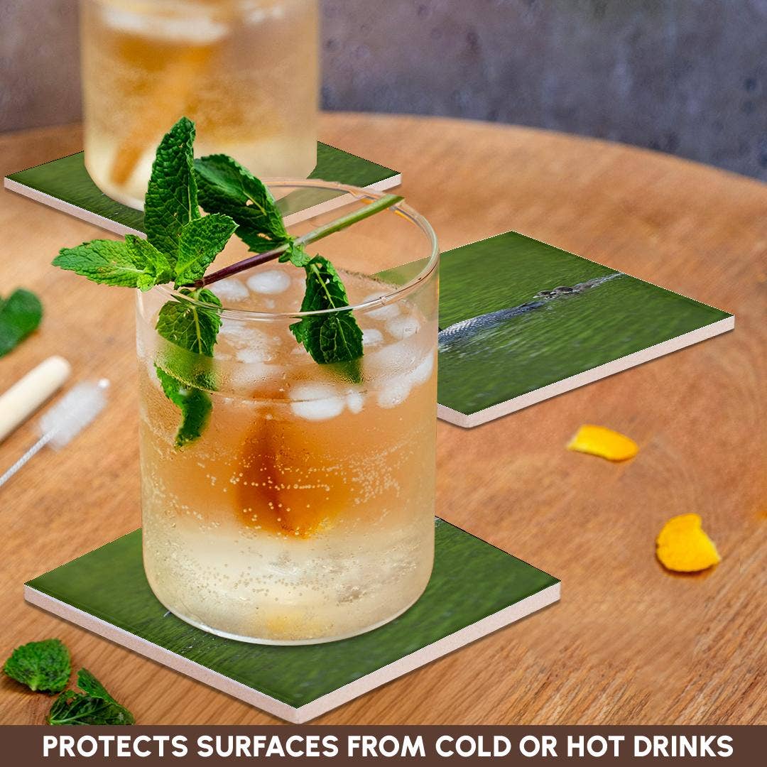 3dRose - Wholesale Onderzetters - 3dRose, Cassels Lake. IJsduiker met kuikens, Onderzetter2