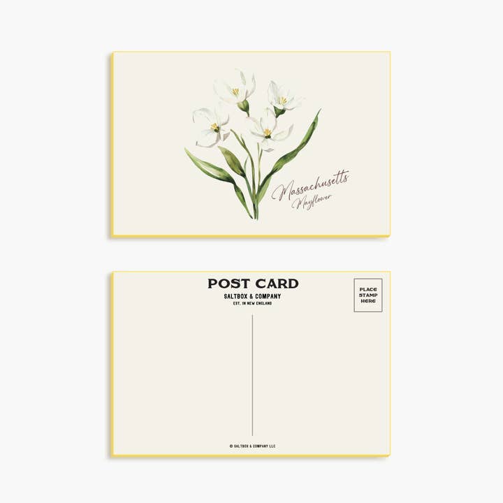 Massachusetts Mayflower - Enkelvoudige Kaart met Envelop voor wholesale door Saltbox & Company