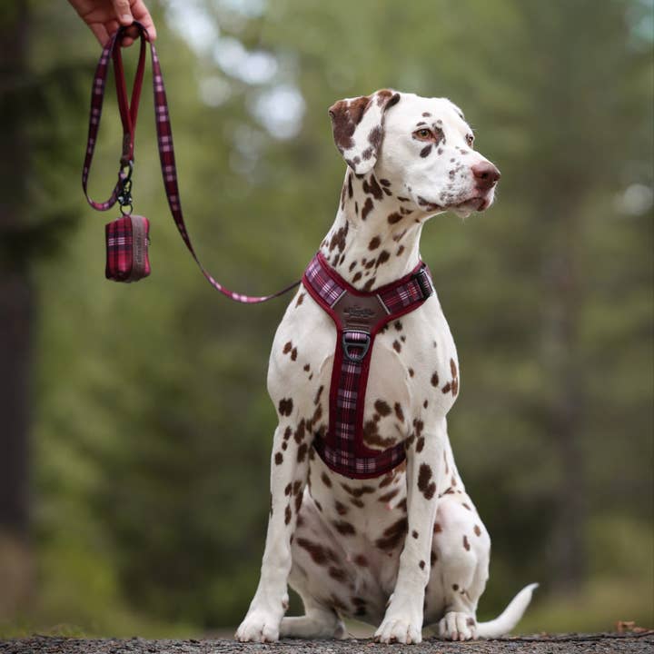 The aDoraBle Pooch Company - Wholesale Pet Harness - Dog - Streamline Pro™ Dog Harness - Heritage Collection - Merlot Manor4