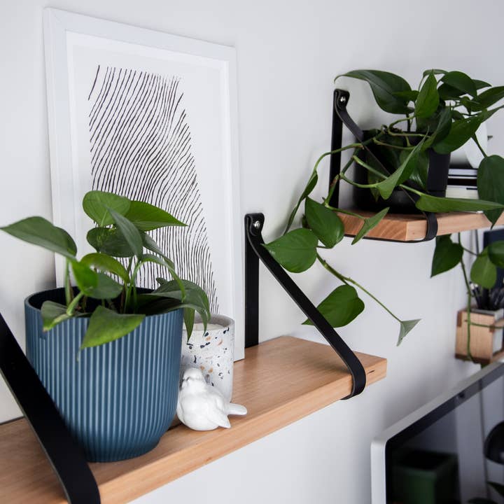 Leather Strap Shelf for wholesale by Jemmervale Designs