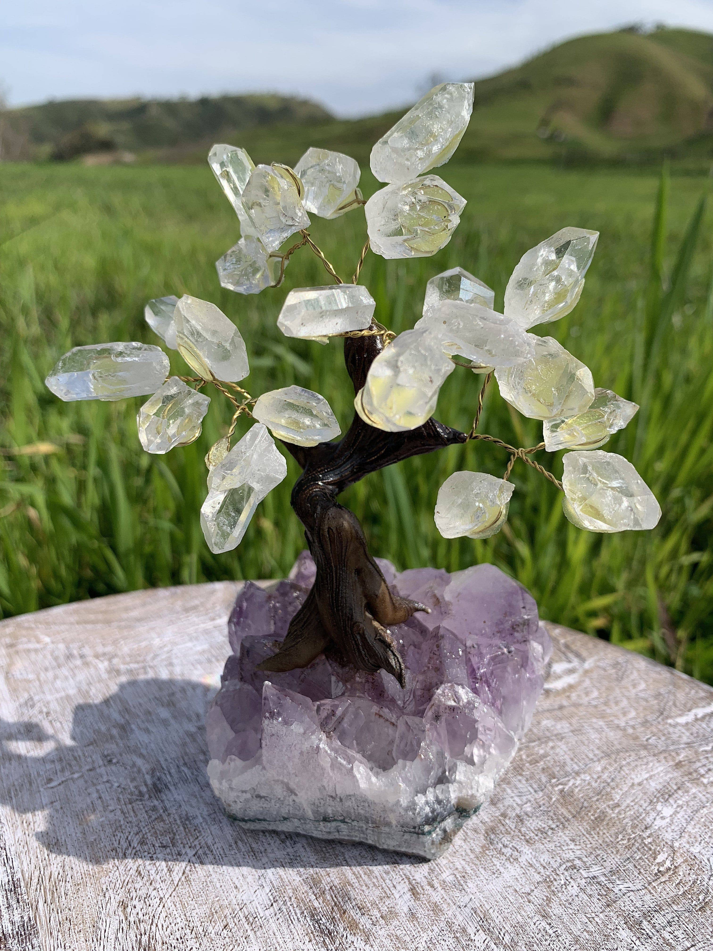 Rock Paradise - Wholesale Spiritual Stone/Crystal - Crystal Tree on Amethyst Base High Quality with points1