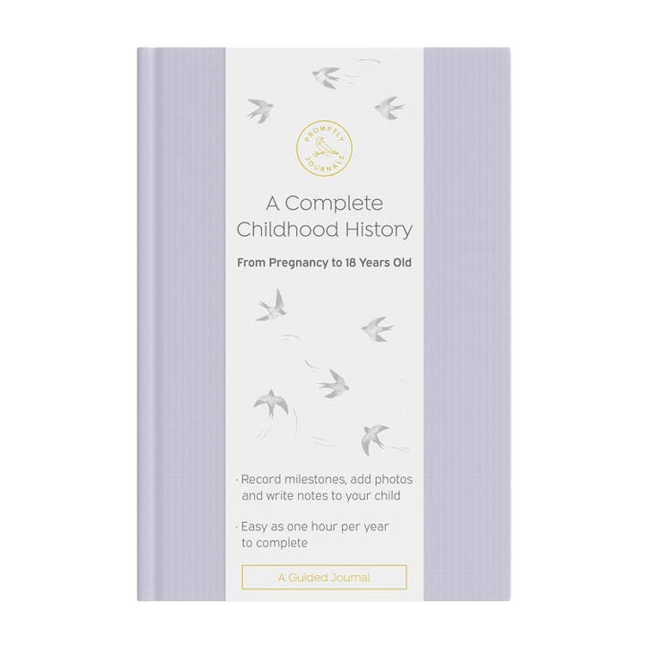 A Complete Childhood History: From Pregnancy to 18 Years Old for wholesale by Promptly Journals