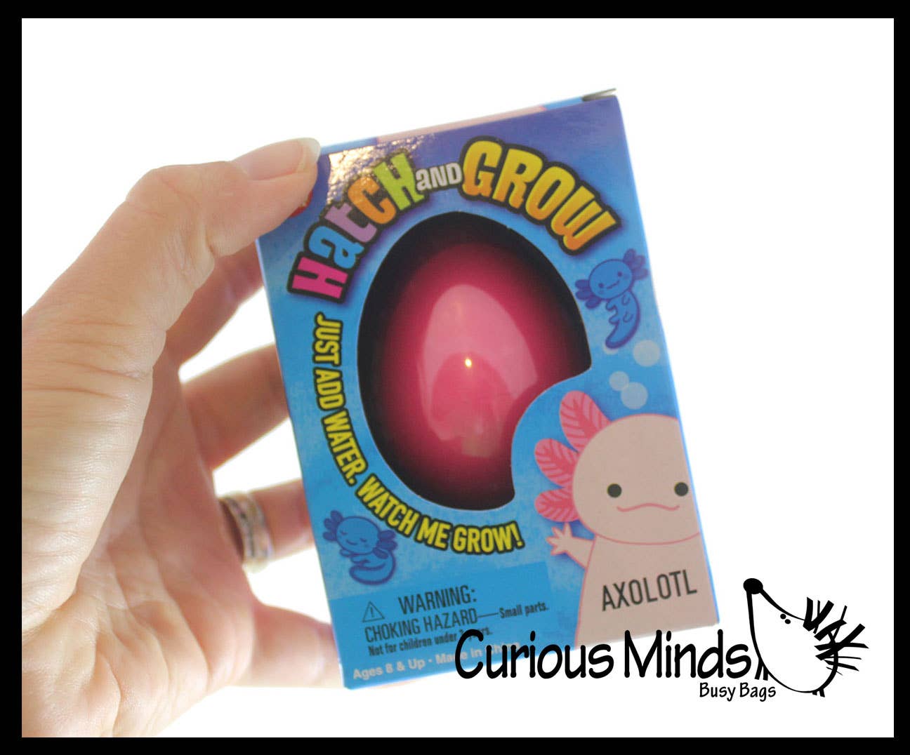 Curious Minds Toys – wholesale Toy set – Kids – 1 Hatch and Grow an Axolotl Egg in Water - Add Water and it8