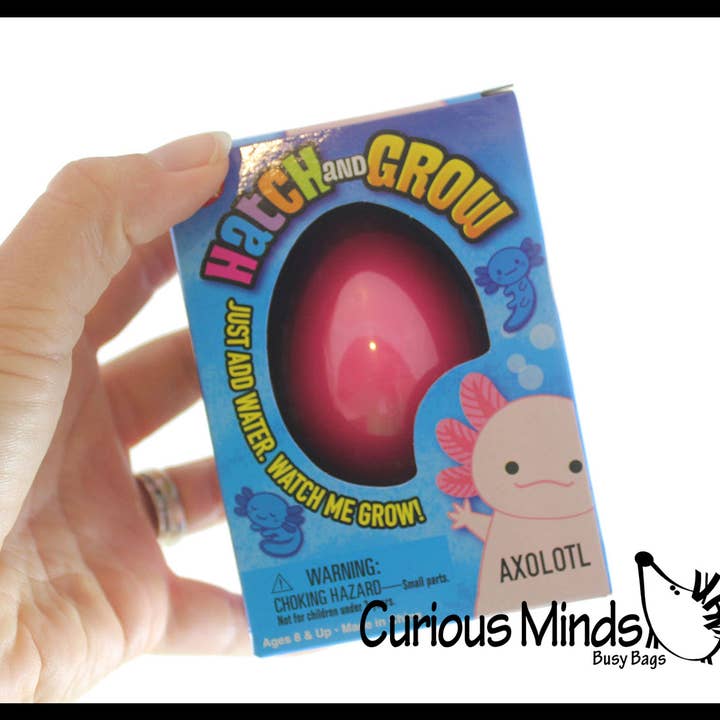 Curious Minds Toys – wholesale Toy set – Kids – 1 Hatch and Grow an Axolotl Egg in Water - Add Water and it8