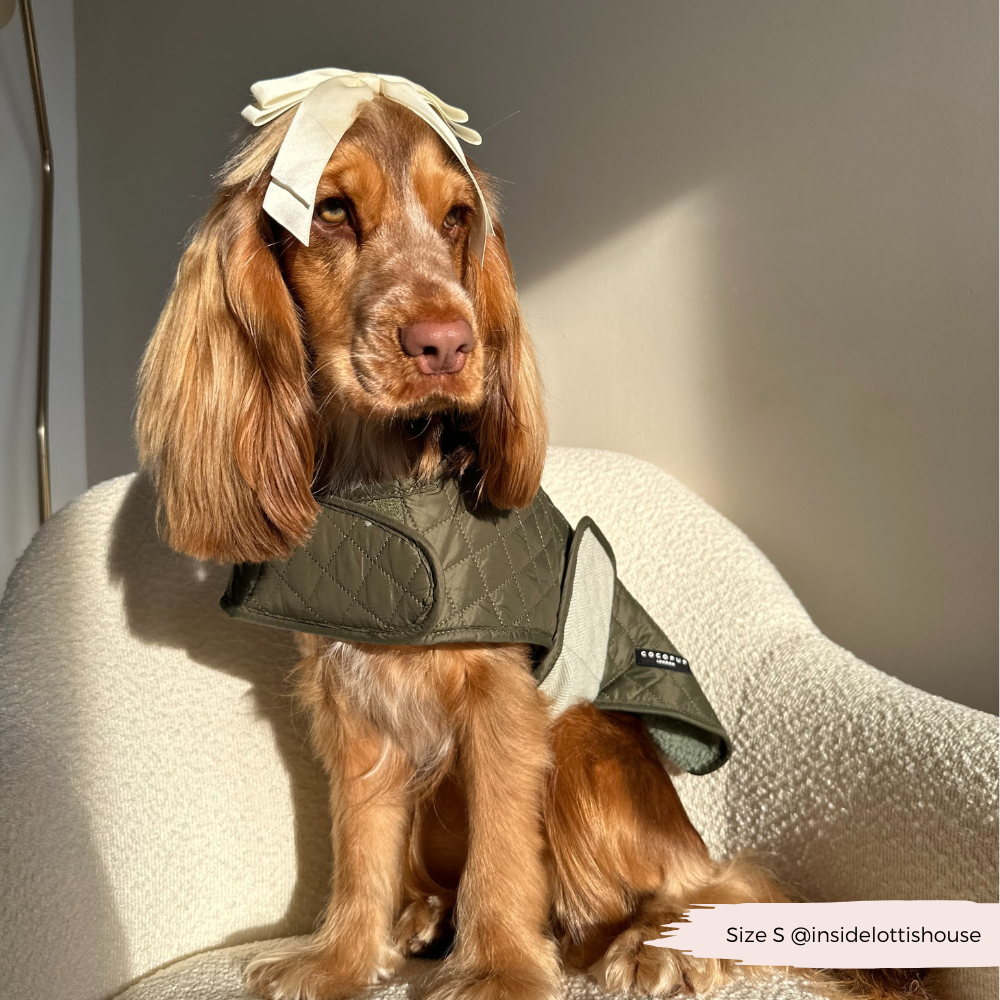 Cocopup London - Wholesale Pet Coat - Dog - LUXE Quilted Dog Coat - Country Khaki21