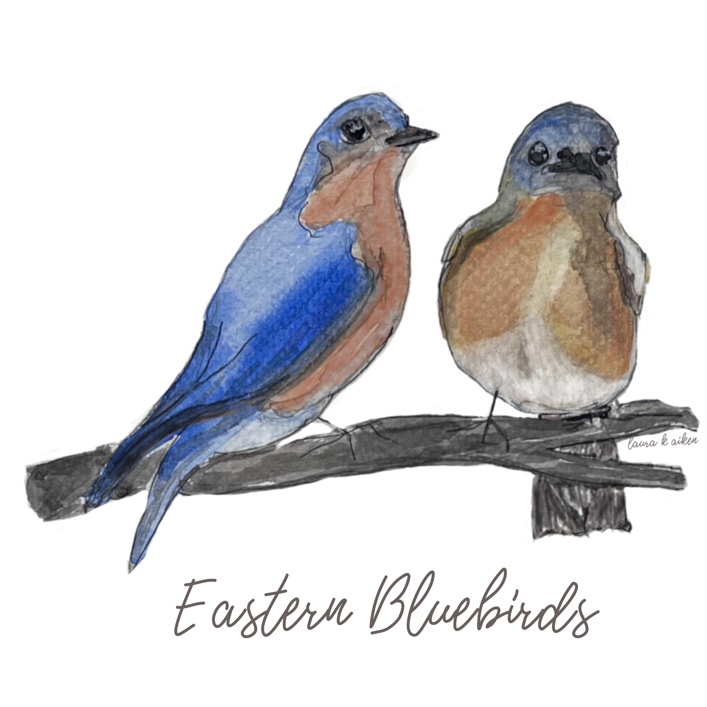 Laura K Aiken Studio - Wholesale Tea Towel - Eastern Bluebird Handpainted1