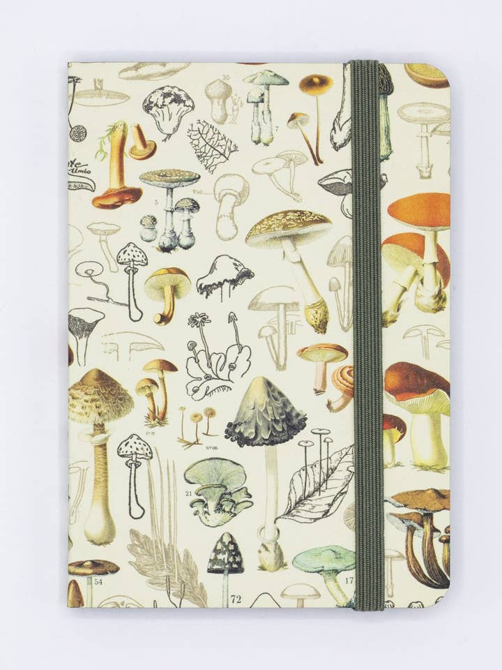 Woodland Mushrooms Observation Softcover (Case of 6) for wholesale by Cognitive Surplus