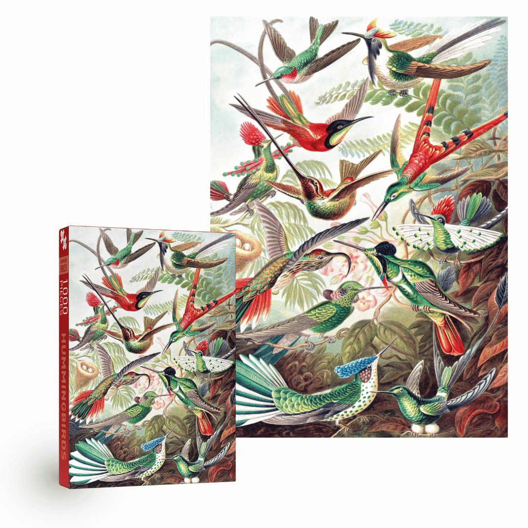 Penny Puzzle - Wholesale Puzzle - Adult - Hummingbirds 1000 piece Vintage jigsaw puzzle5