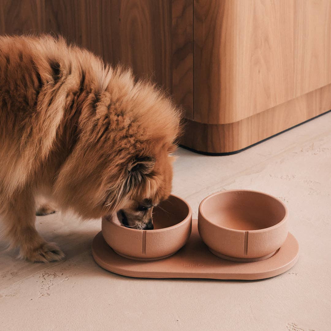 PINO – Engroshandel Kæledyrsskål – Hund – Klassisk skål50