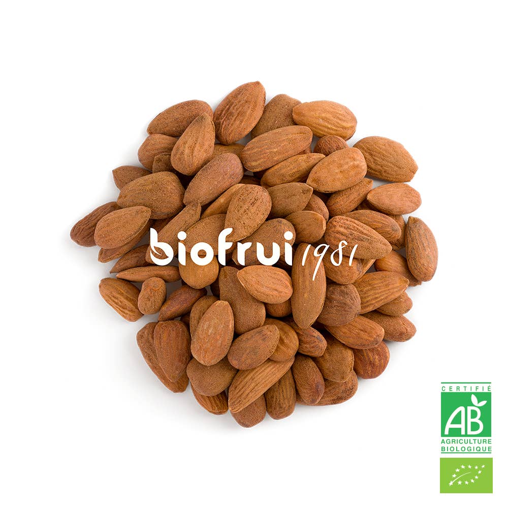 BIOFRUI1981 / Ex-Biofruisec - Wholesale Nuts - Organic Whole Toasted Spanish Almond | Bulk Bag 5 kg