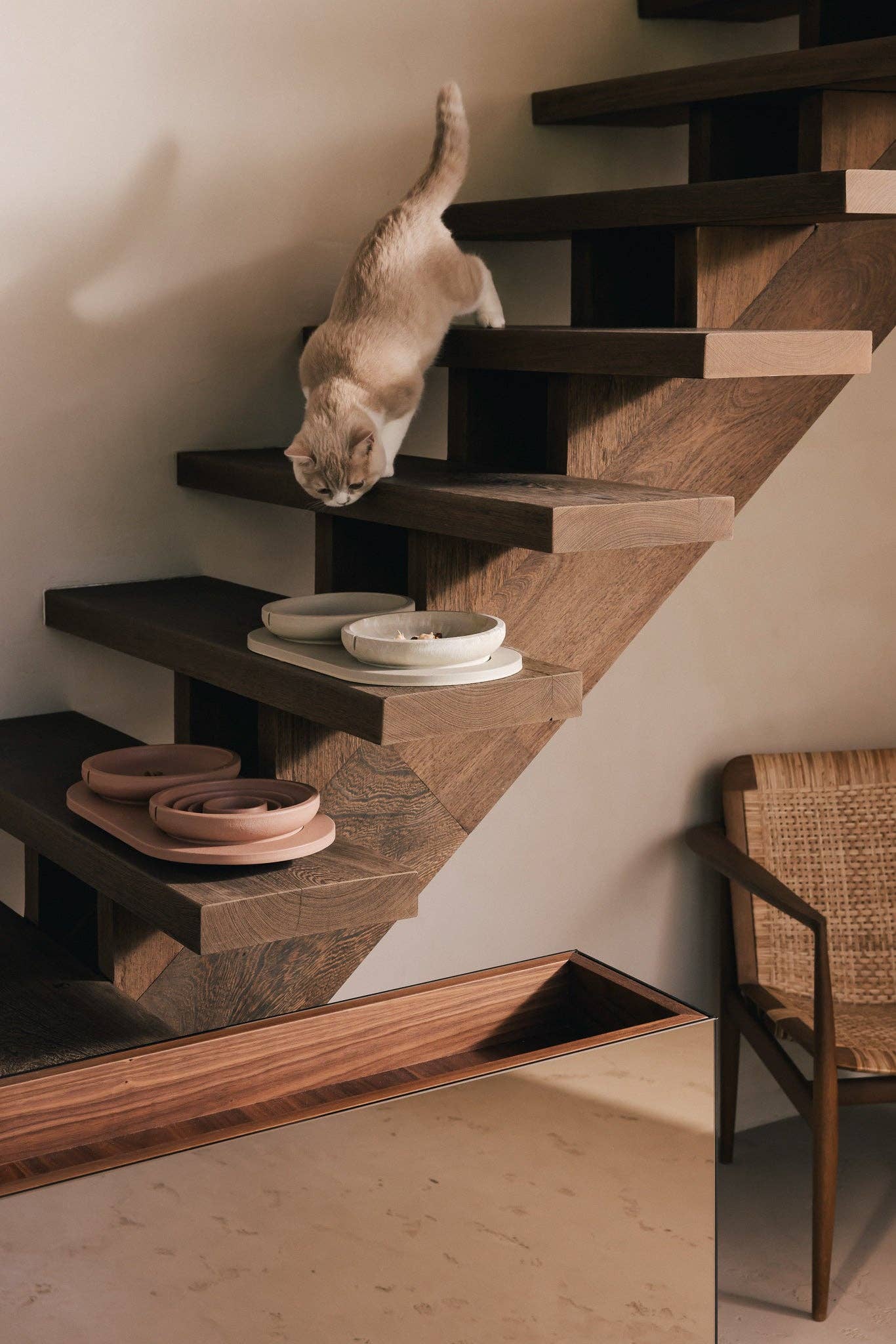 PINO - Wholesale Pet Bowl - Cat - Whisker Friendly Bowl2