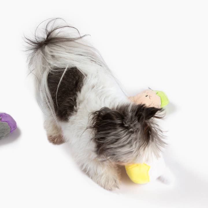 Midlee Designs - Wholesale Pet Plush Toy - Dog - Midlee Easter Bunny Egg Dog Toys - Set of 3
