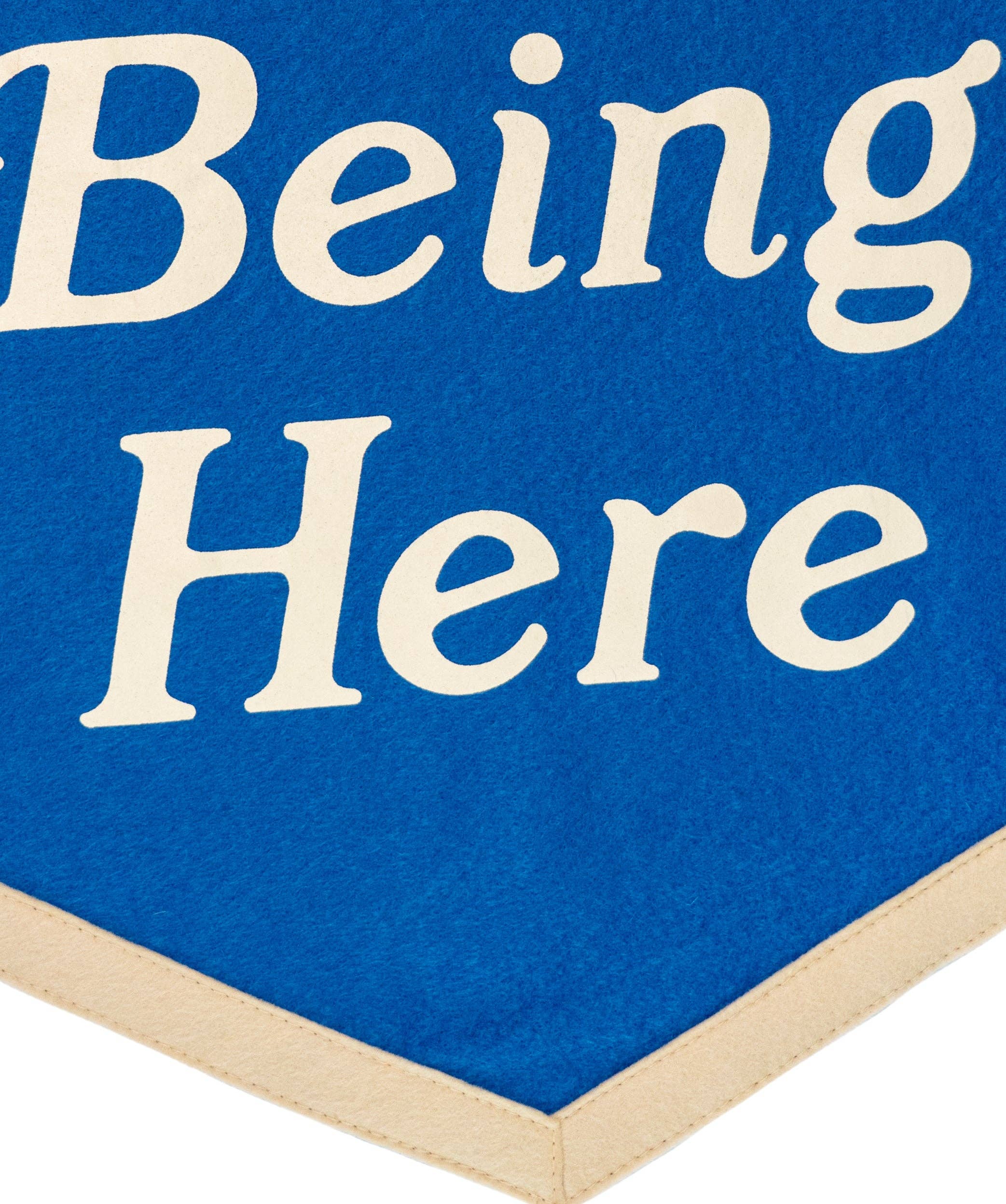 Oxford Pennant - Wholesale Patch - Thank You For Being Here Camp Flag4