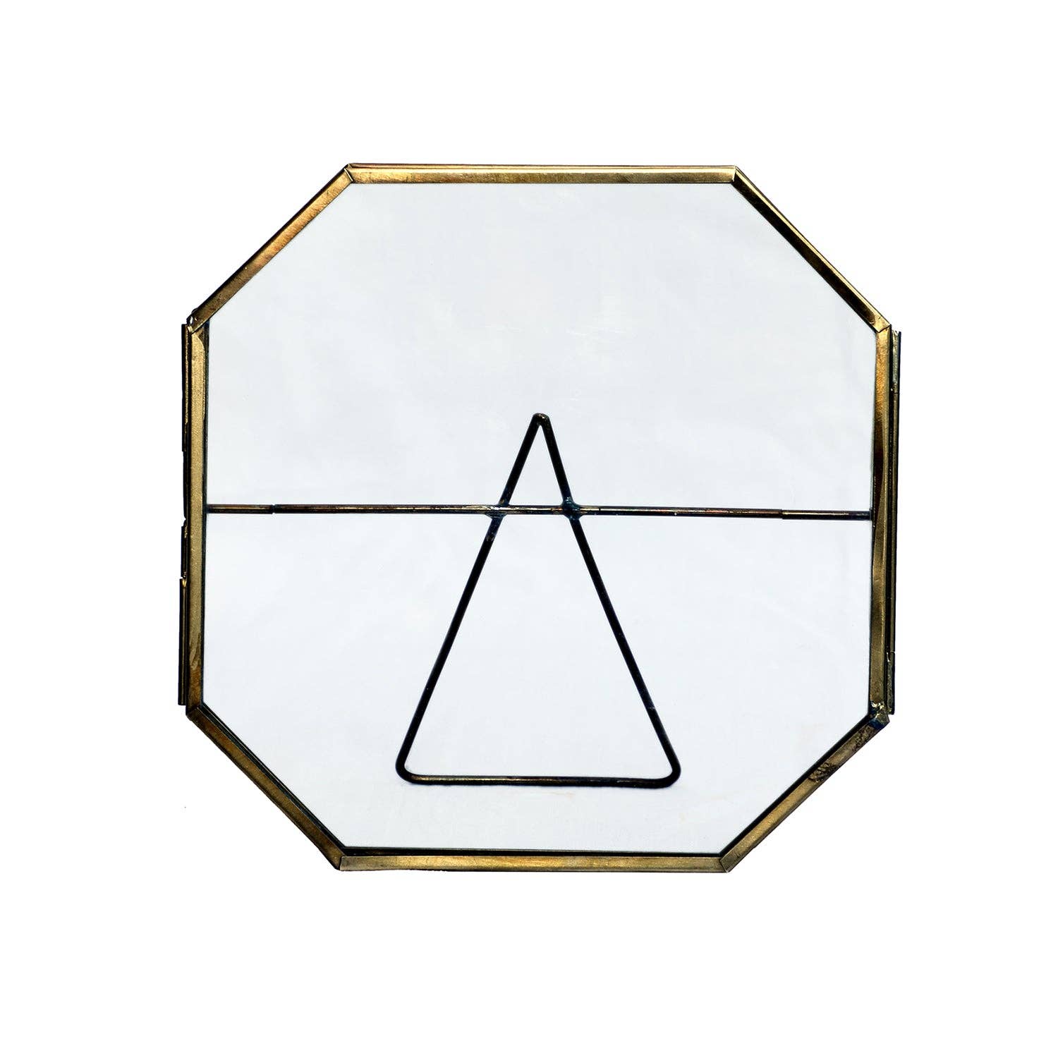 Blue Ocean Traders - Wholesale Picture Frame - Botanist Display Large