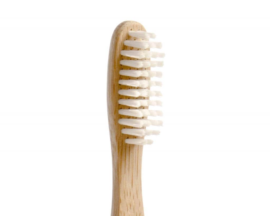 Goodly Gosh - Wholesale Toothbrush - Brush with Bamboo – 100% Plant-Based Adult Toothbrush1