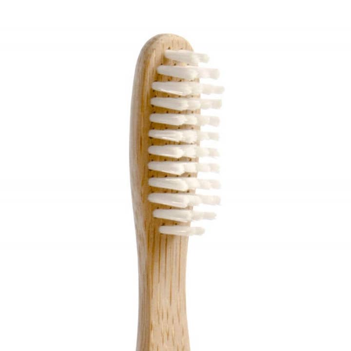 Brush with Bamboo – 100% Plant-Based Adult Toothbrush and other Purchase Wholesale personalized toothbrushes. Free Returns & Net 60 Terms on Faire trending on Faire.