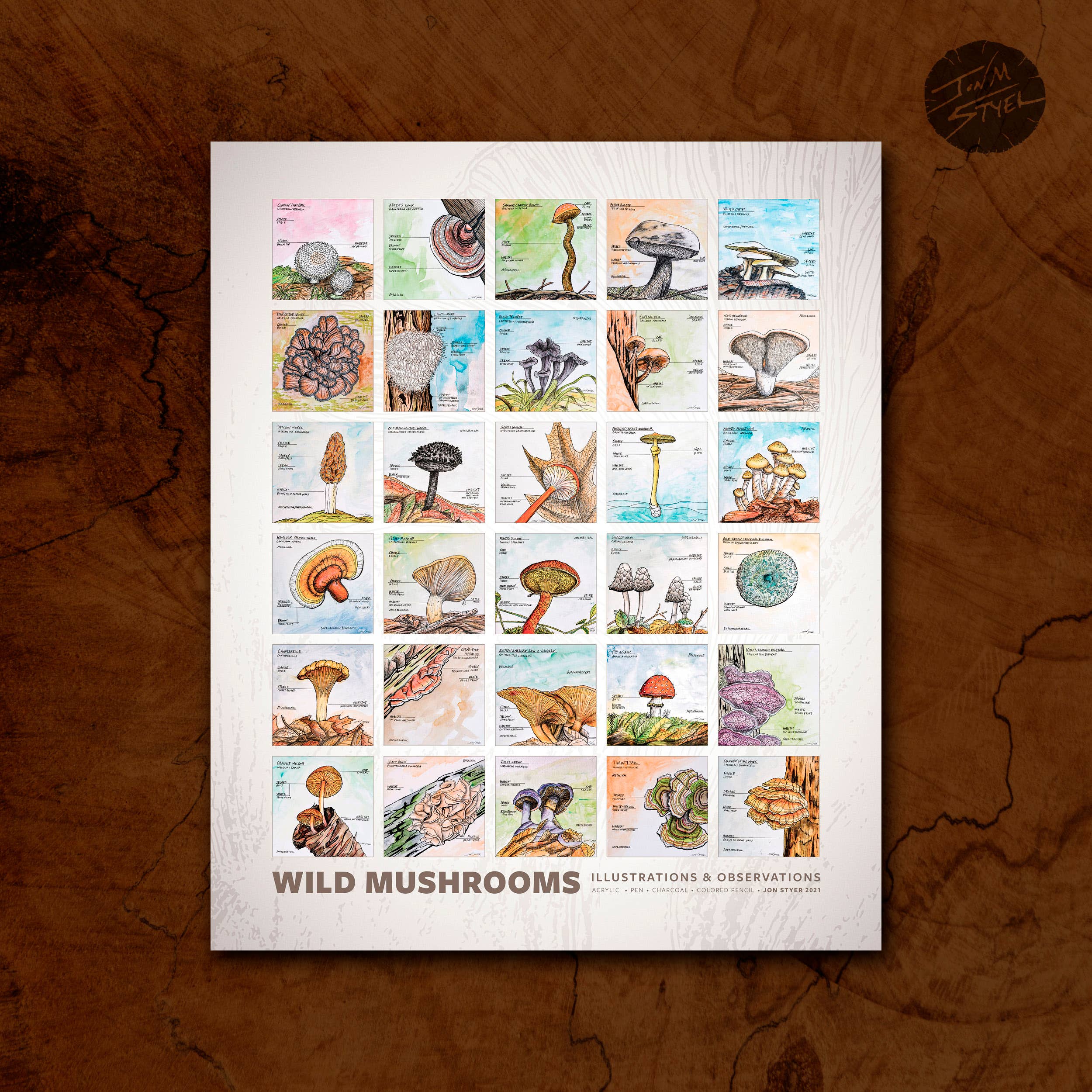 Jon M Styer - Wholesale Poster - Wild Mushrooms Poster - 16x201
