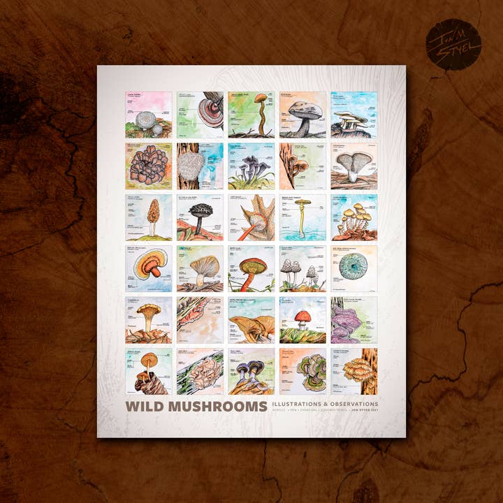 Jon M Styer - Wholesale Poster - Wild Mushrooms Poster - 16x201