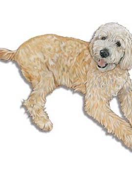 Imán Doodle Madera para venta al por mayor de Pipsqueak Productions