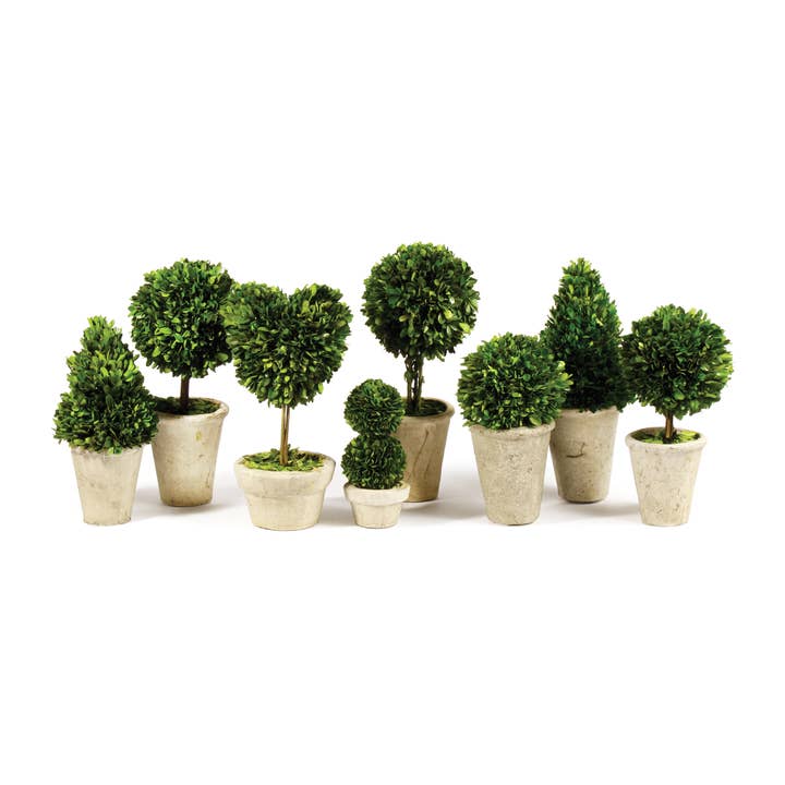 Napa Home & Garden - Vente Plantes artificielles - Topiaires de buis en pots, ensemble de 8