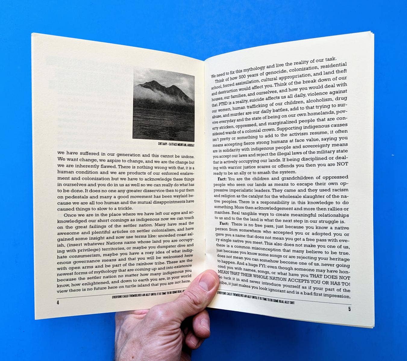 Microcosm Publishing & Distribution - Vendita all'ingrosso Libro di scienze sociali - Everyone Calls Themselves an Ally (Fanzine)1