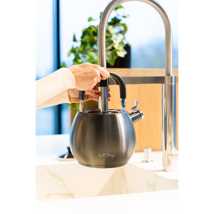 2,5L vattenkokare med en visselpipa grafit matt Bolla 8654 för wholesale av Kulig Sp. z o.o.