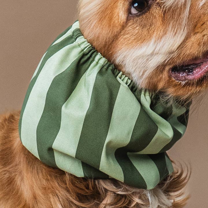 Lou and co. - Wholesale Pet Snood - Dog - Dog Snood Stripes Green0