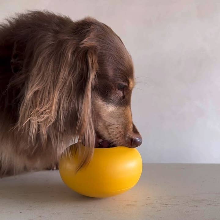 Lunoji – wholesale Pet toy – Dog – Pebble: All-in-One Dog Toy | Slow Feeder + Treat Dispenser
