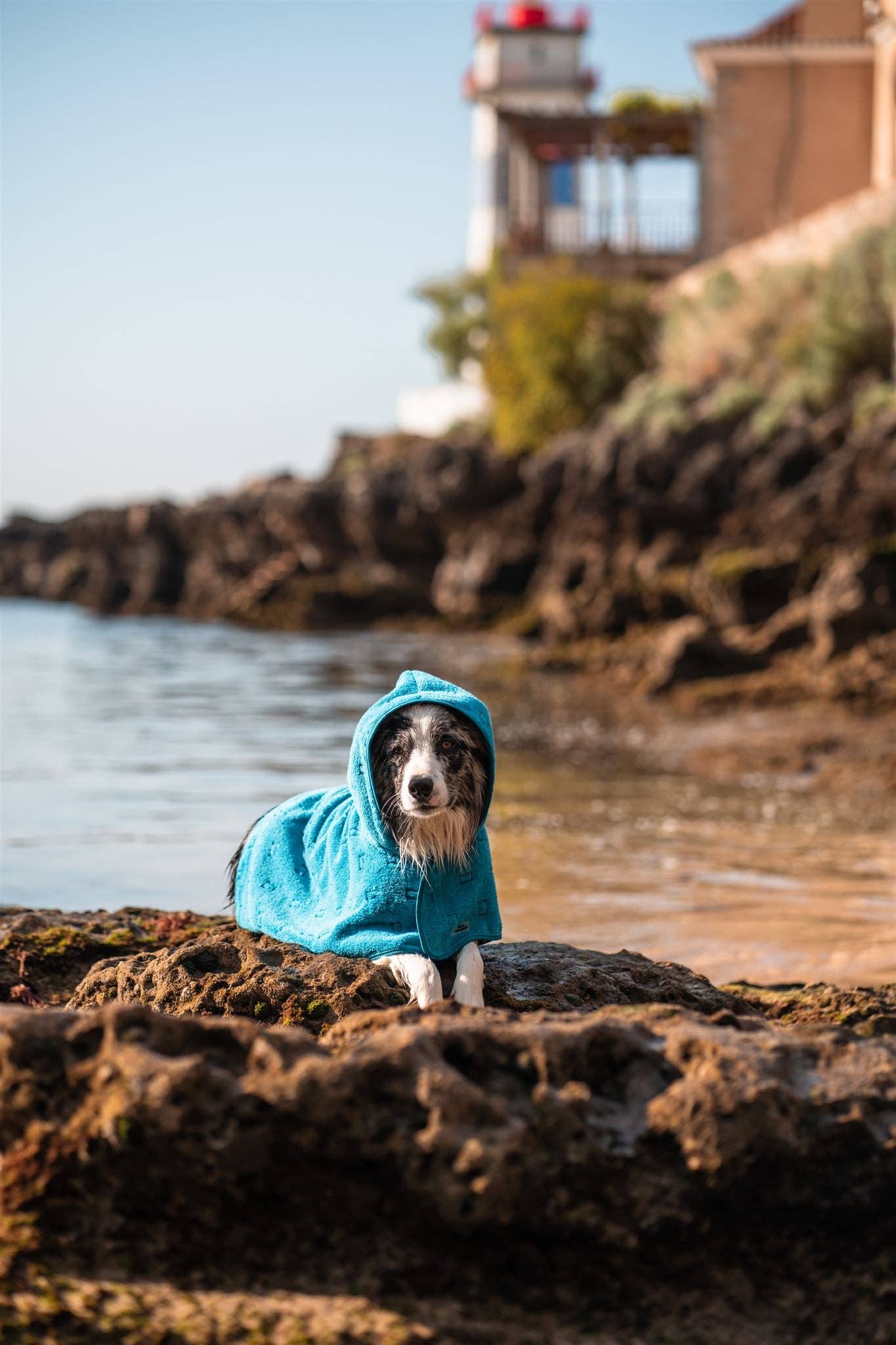 Tata’s Concept – Poncho para cão - Cão por atacado – Ponchos 1ª Edição (2022)1