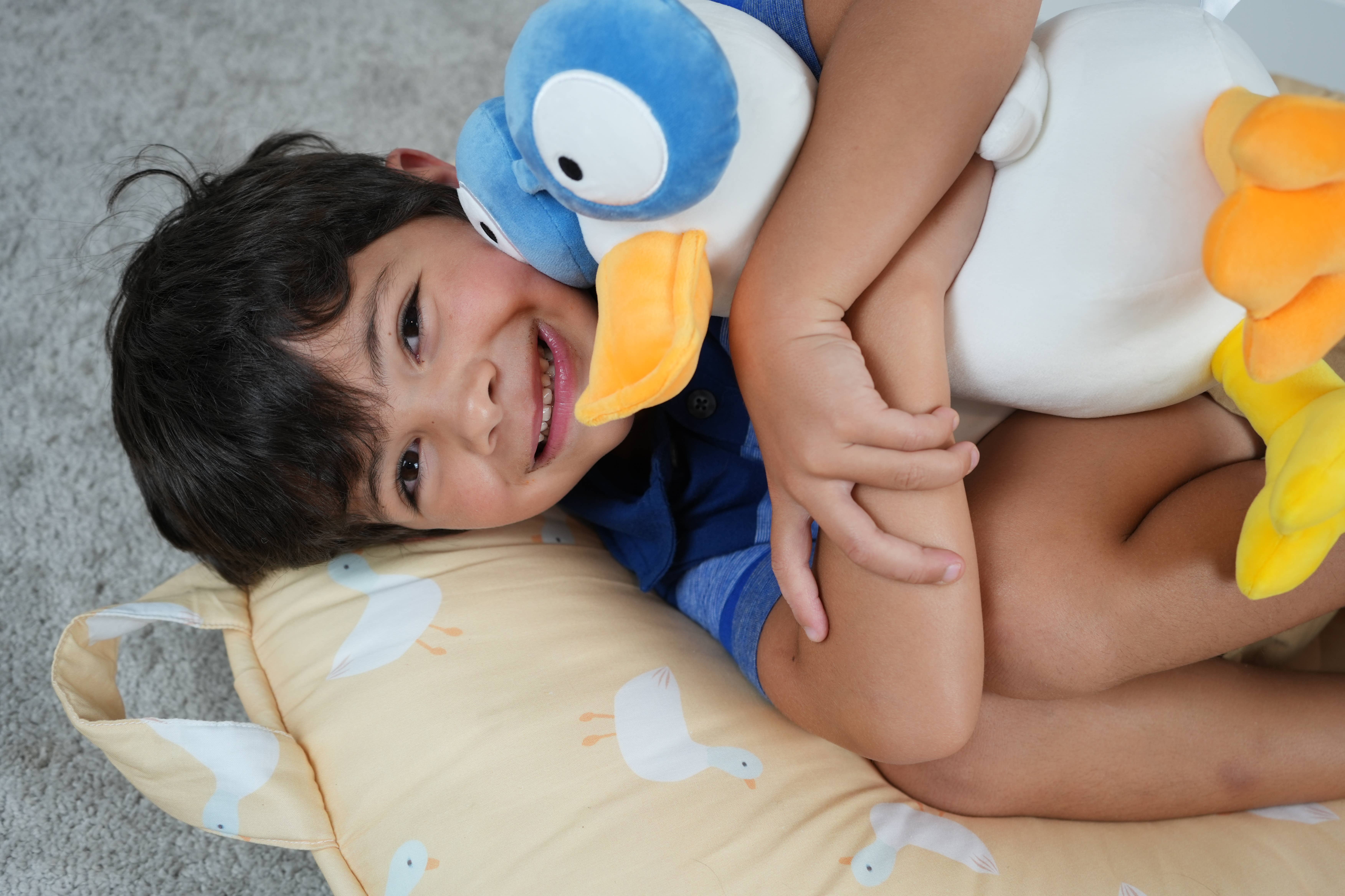 GooseWaddle + Pello - Wholesale Stuffed/Plush Toy - Kids & Baby - Waddles the Goose Plush3