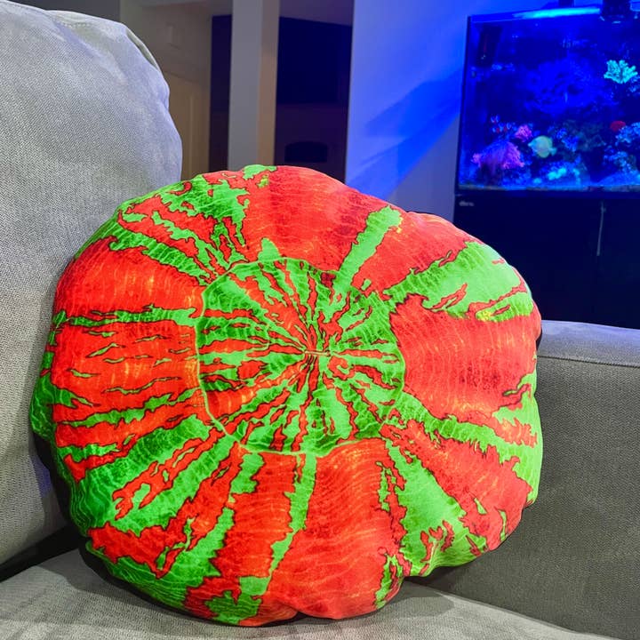 Bleeding Apple Scoly Pillow for wholesale by Reef of Clowns