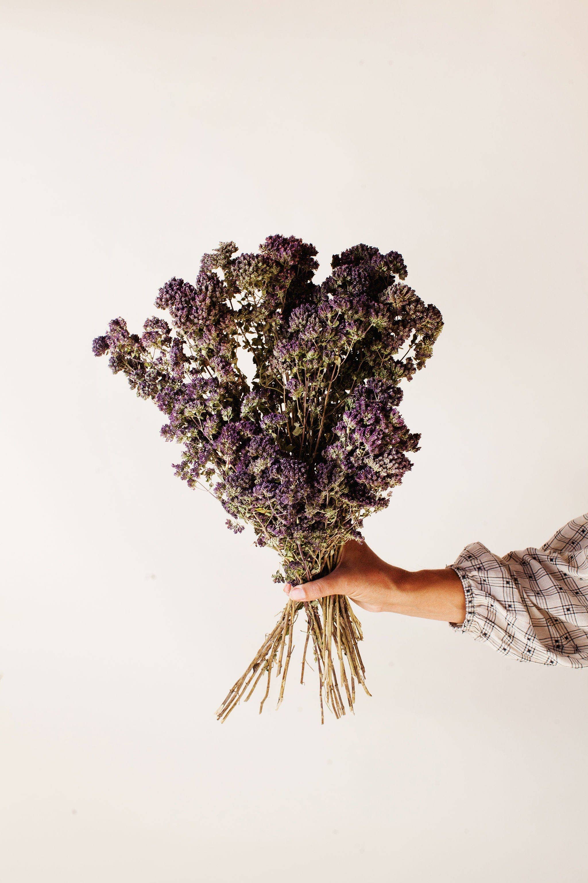 Idlewild Floral Co. - Wholesale Dried/Pressed Flowers - Dark Purple Oregano Blooms1