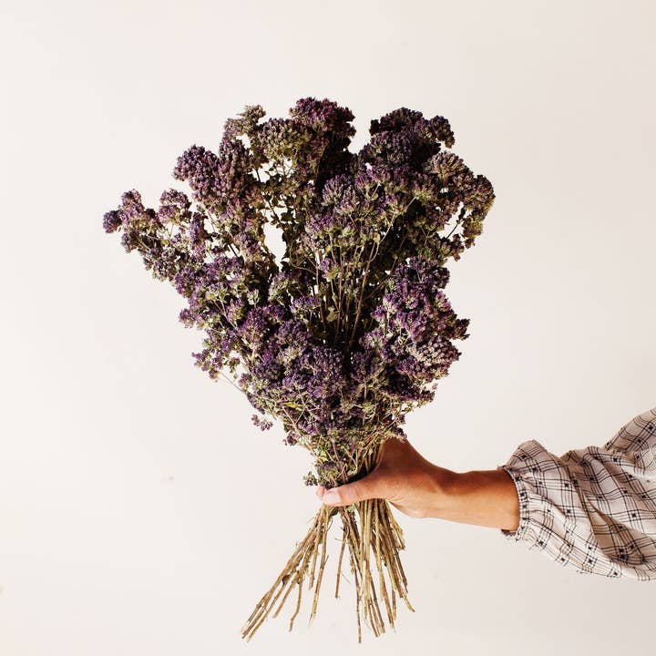 Idlewild Floral Co. - Wholesale Dried/Pressed Flowers - Dark Purple Oregano Blooms1