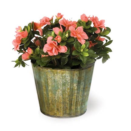 RD TIN PLANTER-VERDIGRIS for wholesale by Willow Group