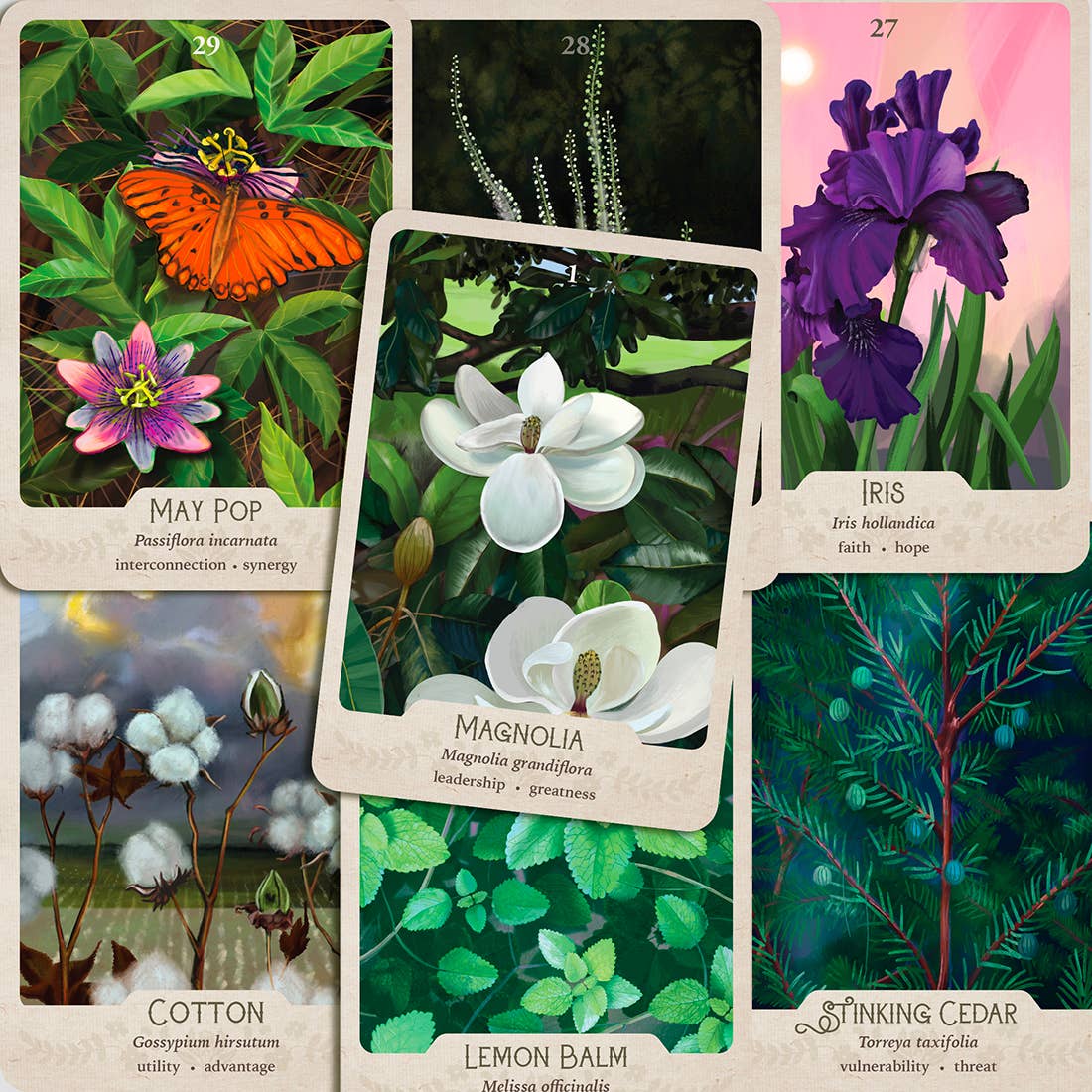 La Panthère Studio - Wholesale Tarot Cards - The Southern Botanic Oracle4