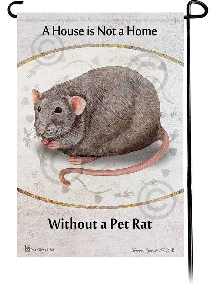 Rata gris claro sólido Una casa no es un hogar -... para venta al por mayor de Pet Gifts USA, LLC