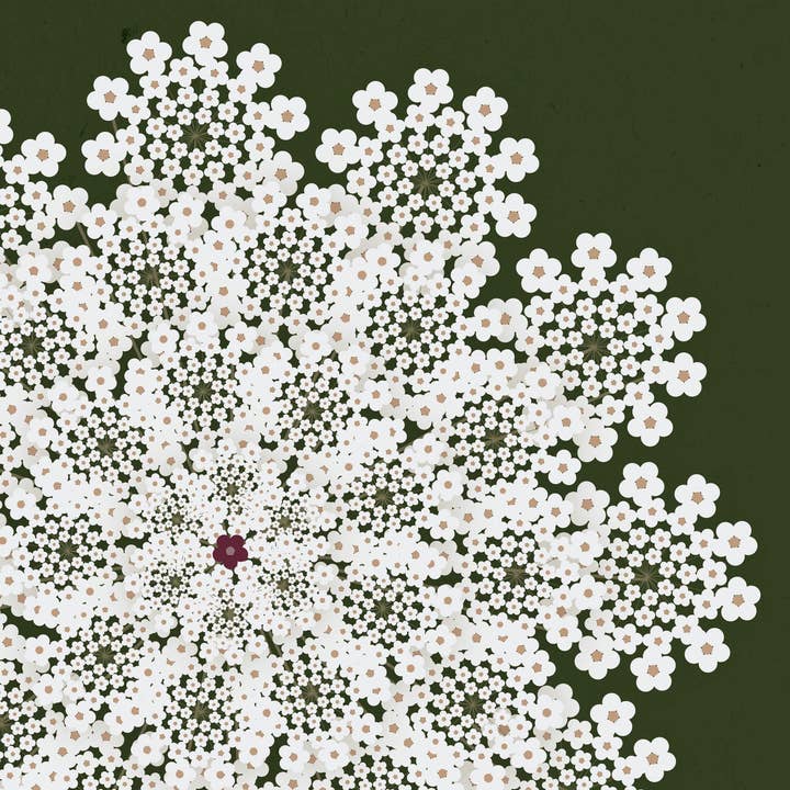 Queen Anne's Lace 11x14" Giclée Print - Midwest Whimsy for wholesale by Jenna Smith