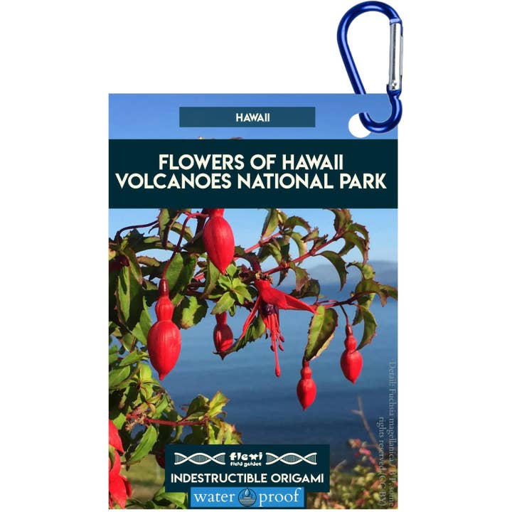 Blumen des Hawaii-Volcanoes-Nationalparks-Unzerstörbares Origami für den Großhandel von Flexi Field Guides