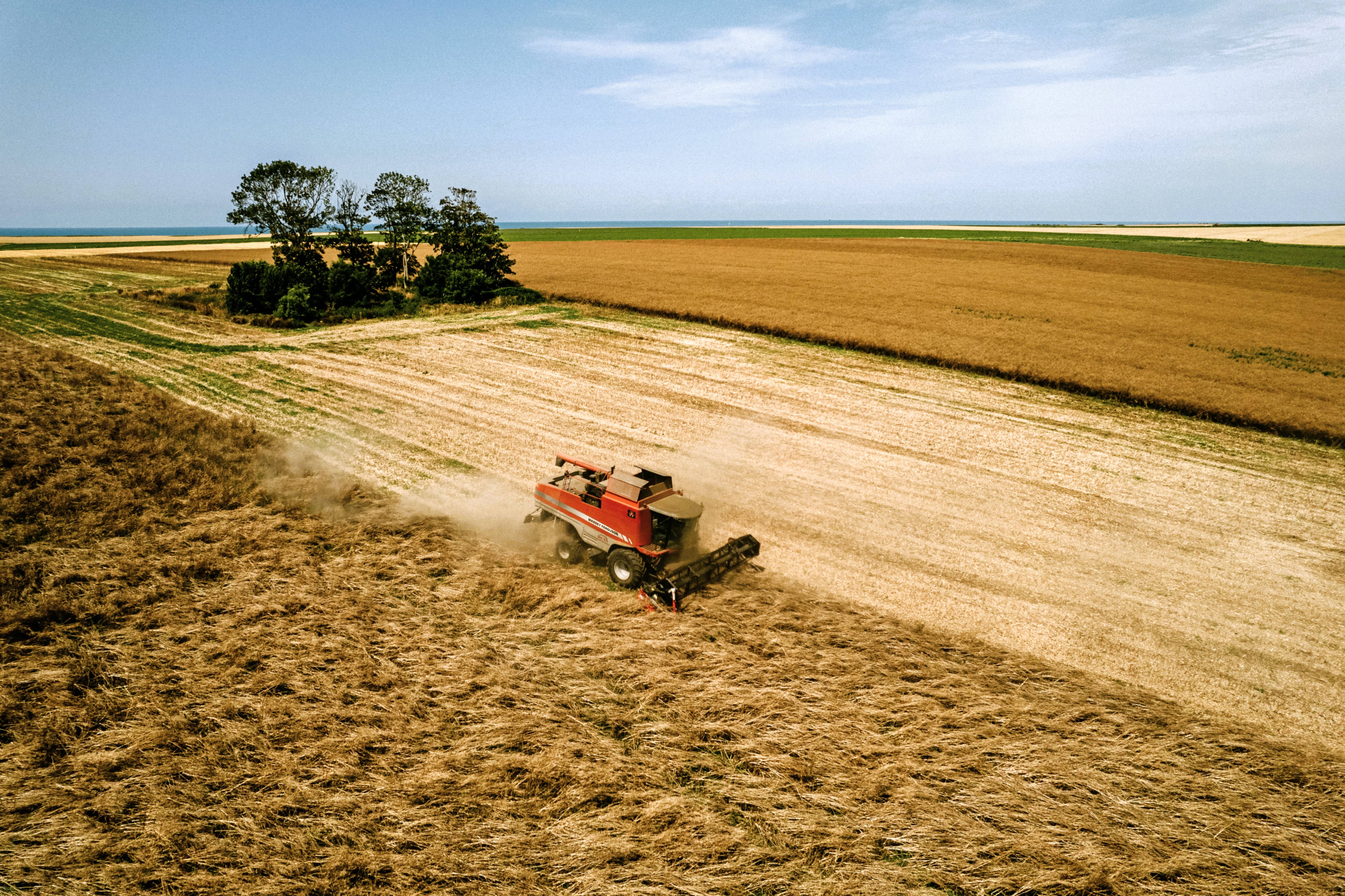 MAISON DUPONT - Wholesale Mustard - Dupont Mustard - Whole Grain 195g6